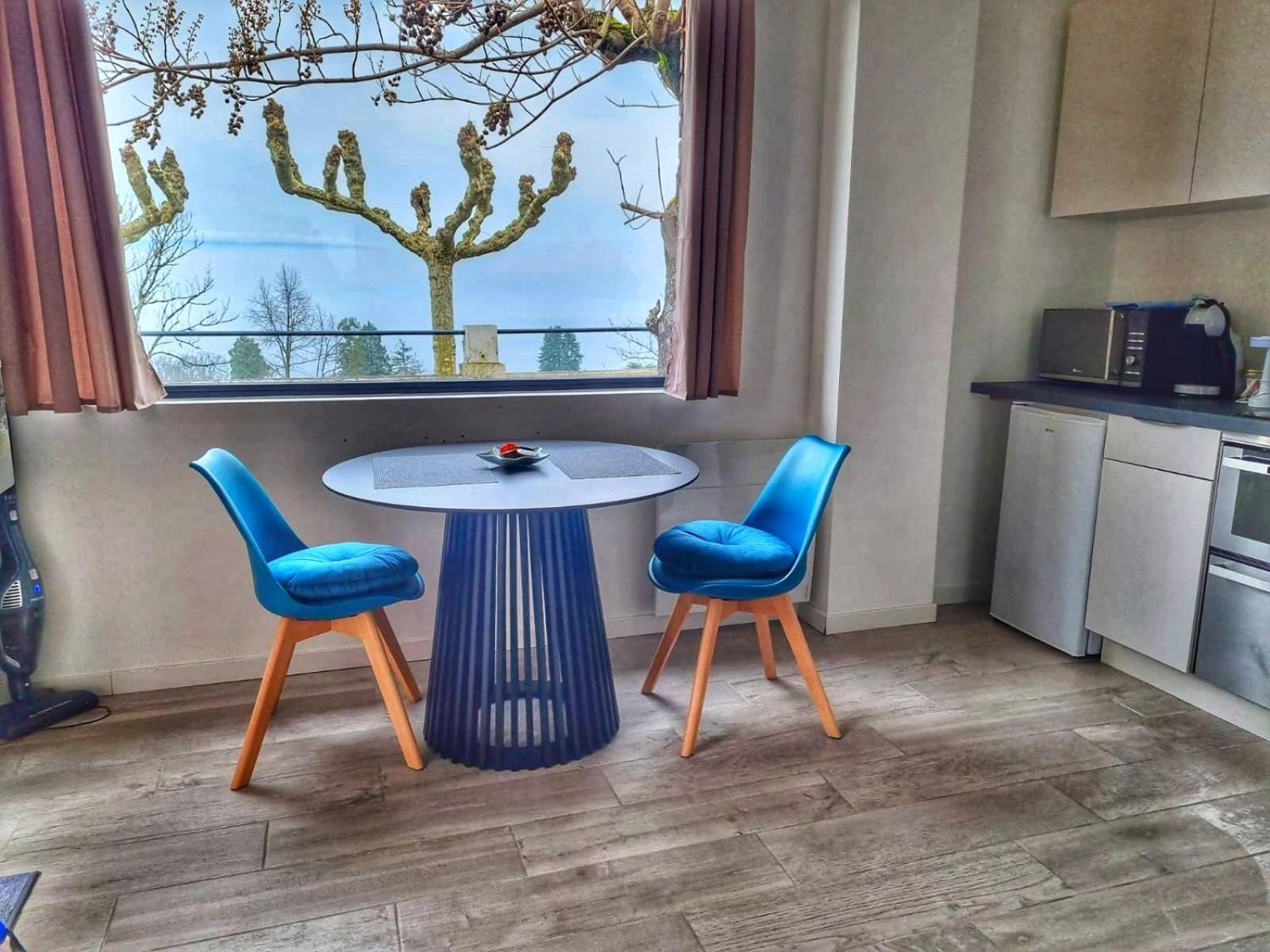 Appartement Cozy 2 Panoramique Lac Leman Τονόν-λε-Μπαιν Εξωτερικό φωτογραφία